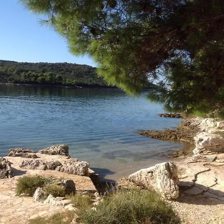 In Near Center Waterfront 아파트 풀라