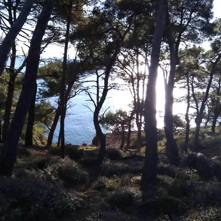 In Near Center Waterfront