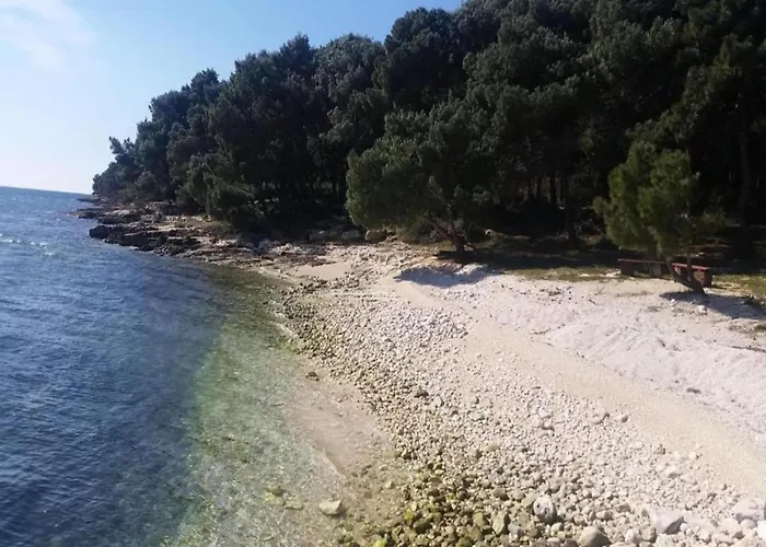 Διαμέρισμα In Near Center Waterfront Πούλα