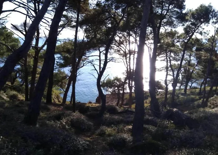 In Near Center Waterfront